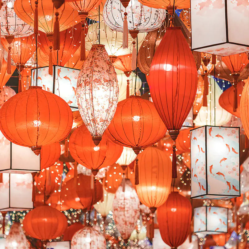 Traditional Chinese Peacock Lantern for Festivals