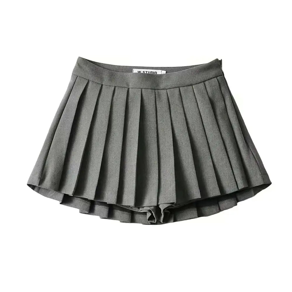 Women's High Waist A-line Pleated Skirt.