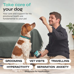 Calming Chews for Dogs Anxiety Relief Chicken Flavor Soft Treats for Storms