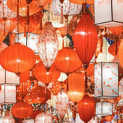 Traditional Chinese Peacock Lantern for Festivals