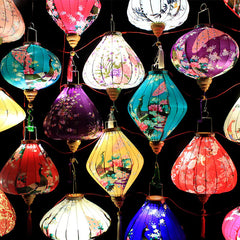 Traditional Chinese Peacock Lantern for Festivals