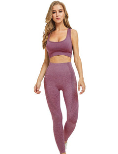 Women Seamless Yoga Workout Set 2Pcs Outfits Gym Leggings and Sports Bra (Wine, Small)