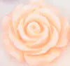 Rose Gold Metal Anal Plug with Flower Design