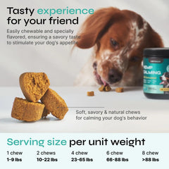 Calming Chews for Dogs Anxiety Relief Chicken Flavor Soft Treats for Storms